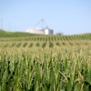 우크라 전쟁에 밥상물가 ‘적신호’… 옥수수·닭고기價 연쇄 상승