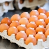다시 ‘금란(金卵)의 시대’… 달걀 한 판 7000원대로 껑충