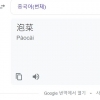 “김치는 중국어로 ‘辛奇’(신치)”…서경덕, 구글에 번역 오류 정정 요청