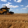 러시아 침공 막힌 곡물 2200만톤 수출길 열린다