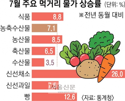 채소값 껑충·곡물가 꿈틀… 추석물가 한달 전 잡는다