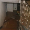 “반려묘 구해야 해”…침수된 집 다시 들어간 여성 사망
