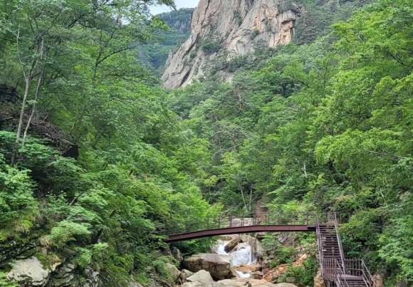 설악산 흘림골 탐방로 7년 만에 다시 열린다