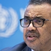 WHO 총장 “조국 에티오피아 친척들 굶는데 돈도 보낼 수 없네요”