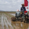 VOA “북한, 중국 아닌 인도에서 쌀 1만t 수입 움직임 이례적”