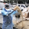 “차라리 버리겠다”… 쌀값 폭락에 거리로 나온 농민들