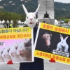 “해부용 새끼 돼지, 9만원에 판매”…중·고교서 동물해부실습