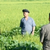 ‘식량난’ 북한, 인도·베트남에도 손 벌렸나… “농부도 굶주려”