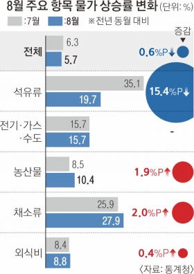 태풍에 추석 장바구니 비상… 배추 78%·오이 69% 등 채소값 급등