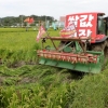 “쌀값 보장하라”… 볏논 갈아엎는 농민