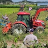 쌀값 폭락 천안서 ‘논갈이 투쟁’…안타까운 농심