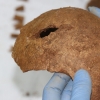옛 광주교도소 발굴 유골 1기, 5·18 행방불명자 DNA 일치
