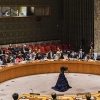 북한 핵실험 규탄 결의안, 유엔총회 군축위 채택, 中도 찬성