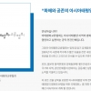 수원지검, 대북송금 의혹 아태협 안모 회장 긴급체포
