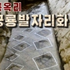 [포토] 북한에서 발견된 공룡발자국 화석