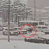 “고맙단 소리 없어도”…1시간 넘게 눈길 갇힌 차들 빼낸 시민들(영상)