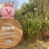 서울 난지한강공원에 1만㎡ 규모 ‘스타숲’ 만든다
