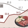 고기보다도 덜 먹는 밥… 정부·지자체 ‘쌀 생산 줄이기’ 본격화
