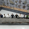 길이만 10.2m… ‘국내 최대 나무화석’ 일반에 공개