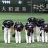 MLB닷컴 “한국, 일본 막을 투수가 없었다”