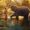 오스카 단편 다큐상 ‘아기 코끼리와 노부부’ 넷플로 확인하세요