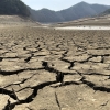 “227일 최장 기상가뭄·1시간 100㎜ 폭우… 기후위기 직면”