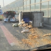 음식물 쓰레기로 난리난 고속도로…“수거차량 넘어져”