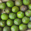 “아보카도서 기준치 200배 농약” 식약처, 콜롬비아産 판매중단·회수