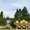서울숲에 ‘비(Bee)호텔’이 있다고?…꿀벌정원 재단장
