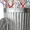 쓸모없는 ‘쓰레기 DNA’가 노화와 암 원인이라고?