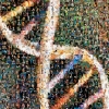 중국, 이번엔 52개국서 유전자 정보 수집 논란