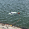 인천서 SUV 바다로 추락…50대 母·20대 아들 사망