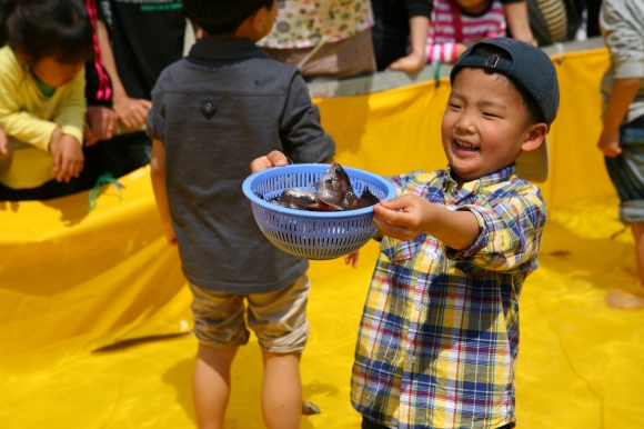 여름의 전령사 납시오… 자리돔 별난 맛에 빠져 보실래요