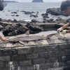 영화 ‘죠스’ 같은 식인상어가 서귀포 해안에 나타났다