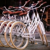 나무 덧댄 자전거가 ‘친환경’?…수억원 국가보조금 챙긴 교수
