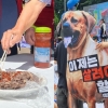 서울 한복판 ‘개고기 시식’…“국민 먹을 권리” vs “생명 윤리 필요”