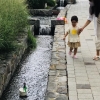 금천구, 도시재생 ‘금하마을 물길축제’ 21일 개최