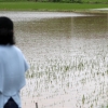 폭우, 엘니뇨에 러시아 훼방까지... 글로벌 식량 가격 들썩