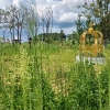 英왕실 볼라… 잡초밭 된 안동 ‘로열웨이 공원’