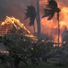 하와이 덮친 화마, 최소 36명 사망… 불길 피해 바다로 뛰어들었다