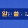 [알쓸금지]고수익 보장할테니 자동차 사라고? ‘자동차 금융 사기’ 주의