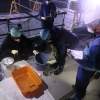 “일본산 수산물 안 받아요”…24일 오염수 방류 日 어민 피해 현실화