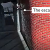 ‘게 걸음’으로 1.5m 벽 타고 오르는 미국 종신수, 일주일째 행적 묘연