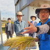 [르포]썬캡·팔토시 무장하고 낫질하는 ‘통계맨’···한해 식량 정책 좌우하는 쌀 생산량 조사 현장