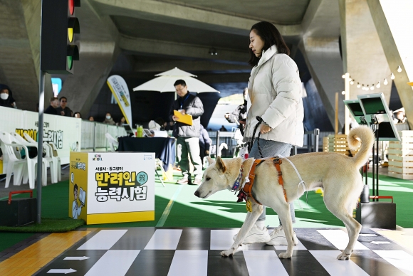 ‘반려인과 반려견의 호흡은 몇 점일까?’ 2023 반려인 능력시험 [포토多이슈]