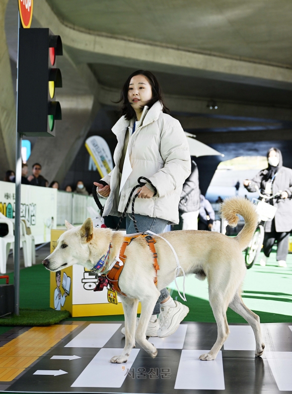 “멍집사 점수는요?” 반려인 능력시험