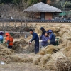 세계유산 양동마을 초가지붕 새 단장 준비
