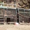 끊이질 않는 사육 곰 탈출, 환경부 사육농가 안전실태 전수조사