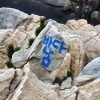 “가족 액운 막으려 낙서”… 울산 대왕암공원 기암괴석 낙서 60대 검거