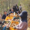충북형 도시농부사업 진화한다...영세농민도 근로자로 참여